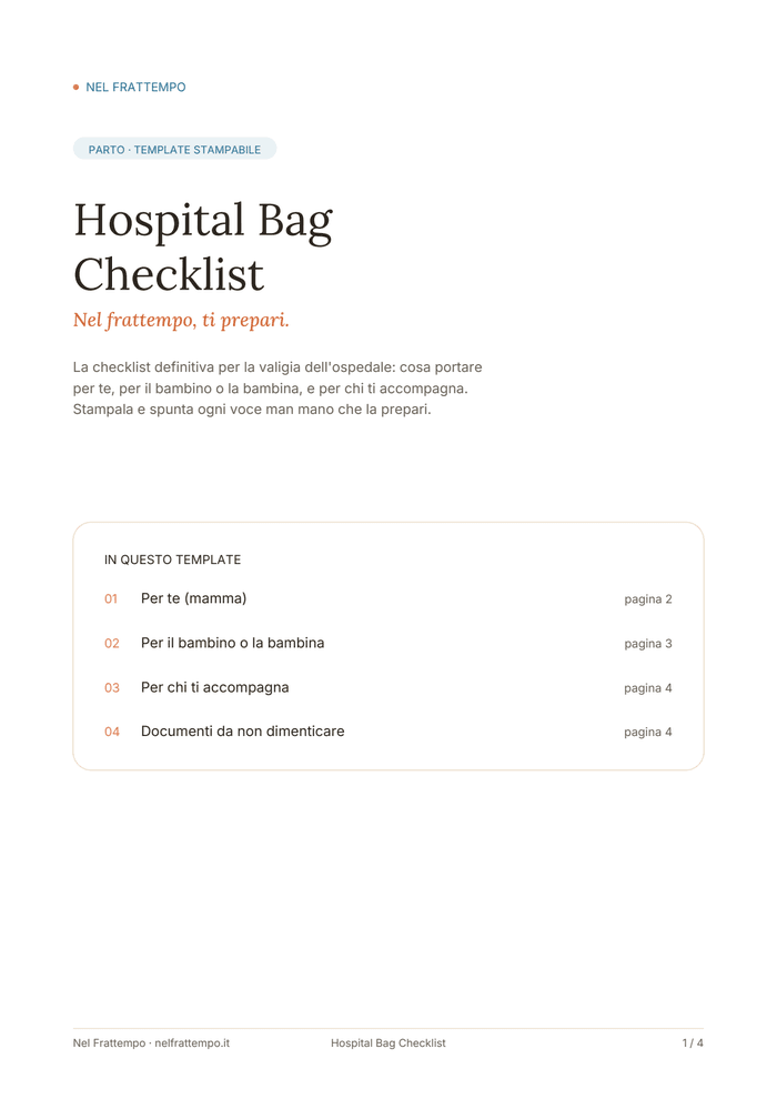 Anteprima del template Hospital Bag Checklist