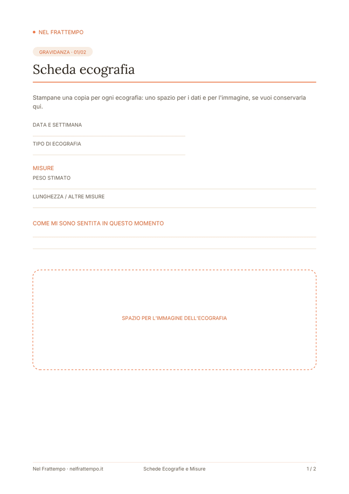 Anteprima del template Schede Ecografie e Misure